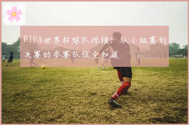 FIFA世界杯球队规模：从小组赛到决赛的参赛队伍全知道