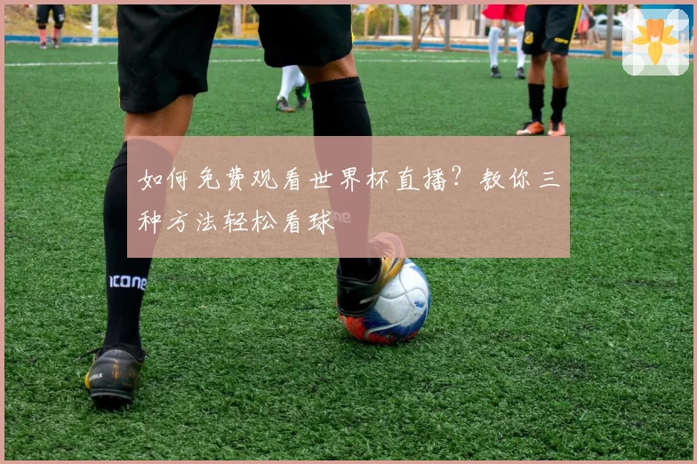 如何免费观看世界杯直播？教你三种方法轻松看球