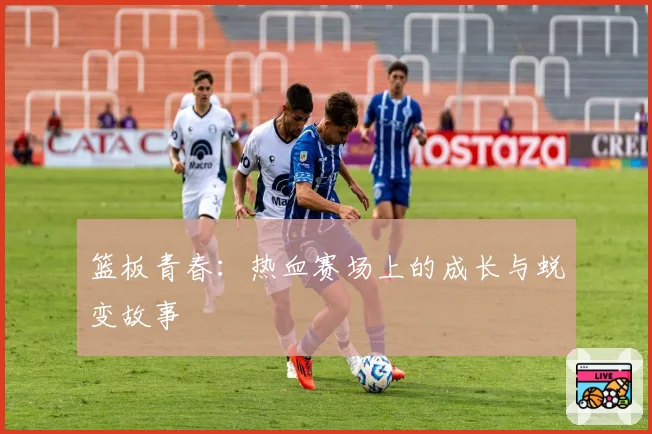 篮板青春：热血赛场上的成长与蜕变故事