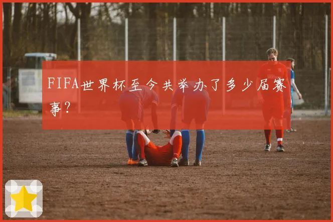 FIFA世界杯至今共举办了多少届赛事？