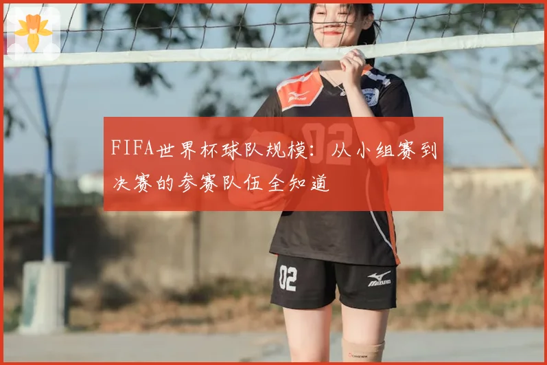 FIFA世界杯球队规模：从小组赛到决赛的参赛队伍全知道