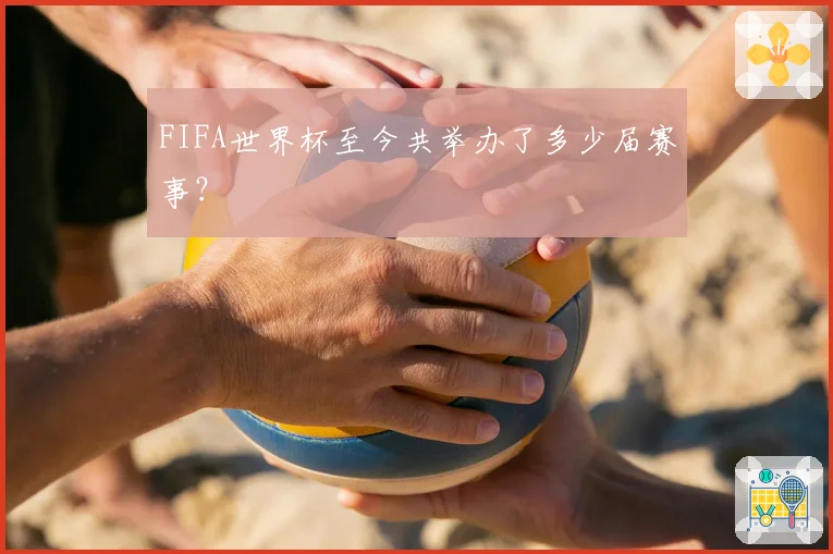 FIFA世界杯至今共举办了多少届赛事？